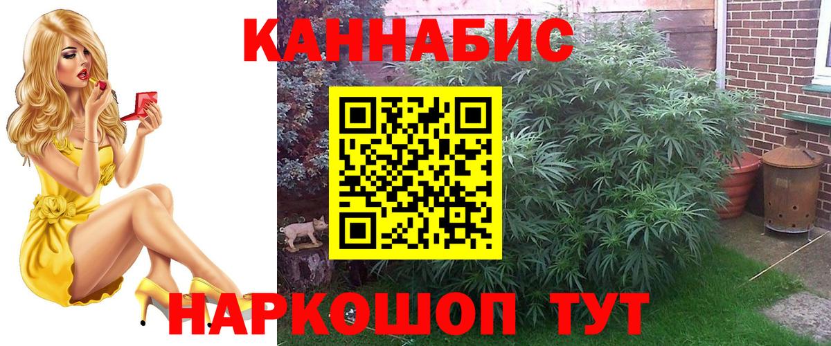 Каннабис планчик  Марихуана тримм  Вход с VPN  Кострома  Конопля индика  Каннабис MAZAR 